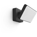 "Philips Hue White Welcome Flutlicht schwarz 2300lm"