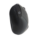 "CONCEPTRONIC Wireless Keyboard+Mouse,ergo,Layout italien. sw"
