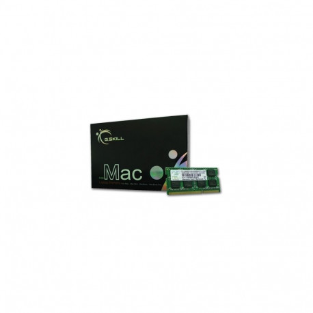 "S0 1066 4GB GSkill"