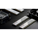 "G.Skill DIMM 32 GB 6000 (2x 16 GB) Dual-Kit (wei. F5-6000J3040F16GX2-RS5W. Ripjaws S5. INTEL XMP)"