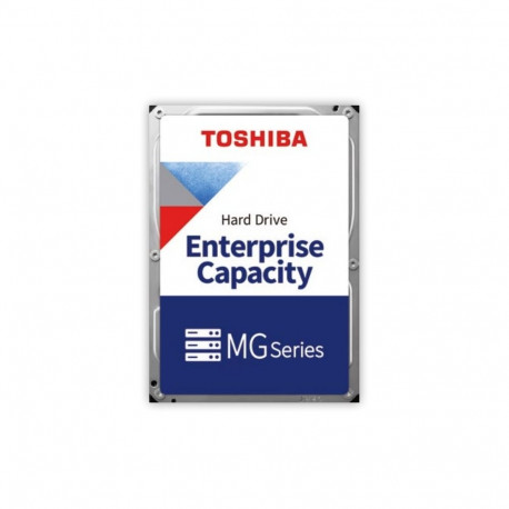 "ENTERPRISE CAPACITY HDD 20TB"
