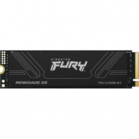 "M.2 4TB FURY RENEGADE G5 2280"