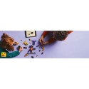 "LEGO 71826 LEGO Ninjago Drachen-Spinjitzu Battle Pack"