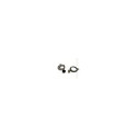 "Datalogic CAB-434 RS232 PWR 9P FEM COILED"