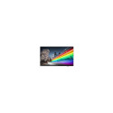 "PHILIPS B-Line 43BFL2214 18/7/UHD/350cd DVB-C/T2 (Speditionsversand)"