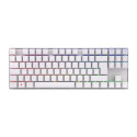 "CHERRY MX 8.2 Wireless Keyboard TKL WL (without suitcase)"