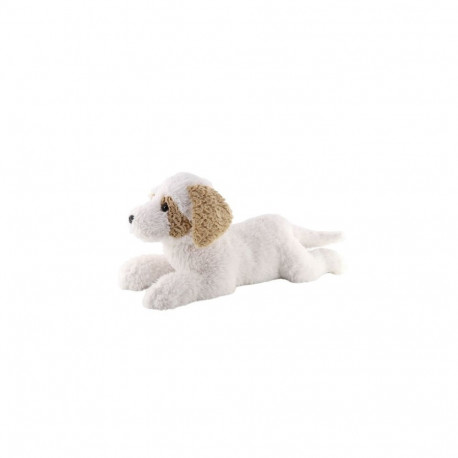 Havanesa Dog lying down 60 cm