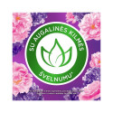 SOFTENER LENOR FLORAL AND MUSK 1200ML
