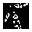 Helkurkleepsud jalgrattale BOOKMAN Reflective Stickers for Bicycles, must leopard