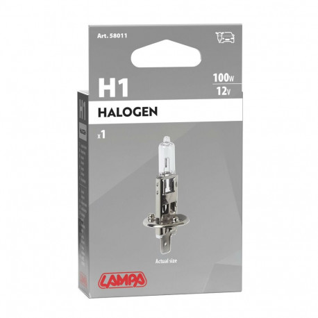 Pirn H1 12V 100W