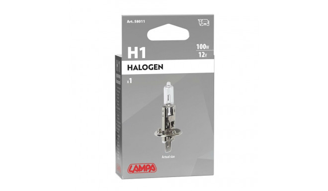 Pirn H1 12V 100W