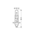 Pirn H1 12V 100W