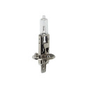 Pirn H1 12V 100W