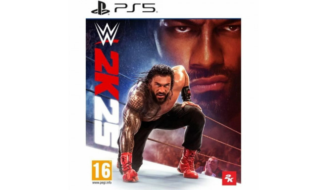 PlayStation 5 Video Game 2K GAMES WWE 2K25