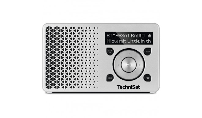 "Technisat DigitRadio 1 silber"