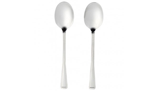 Salter BW09649 Buxton 2-Piece Serving Spoon Set