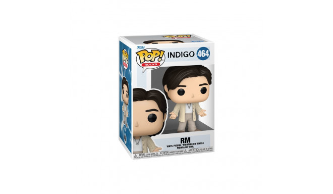 FUNKO POP! Vinyl Figure: BTS - RM (Wildflower)