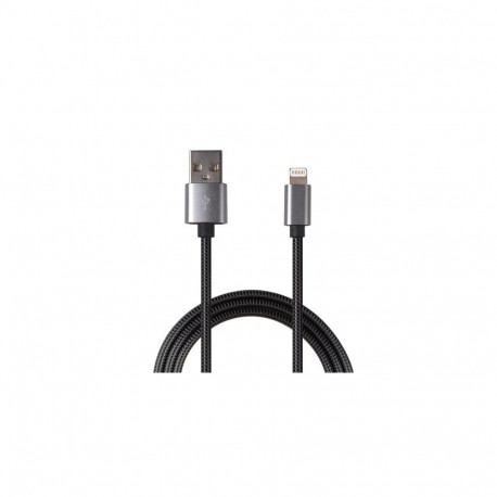 2GO 795810 lightning cable 1 m