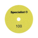 SPECIALIST+ diamond. sanding sheet, universal, 125 mm, 100P