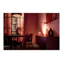 Philips Hue Iris kaasaskantav lamp, vask eriseeria, vask/messing, kaasaskantav lamp