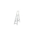 AWTOOLS AW23022 ladder