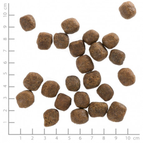 WOLFSBLUT Cold River forell maguskartulitega kuiv koeratoit 12,5kg