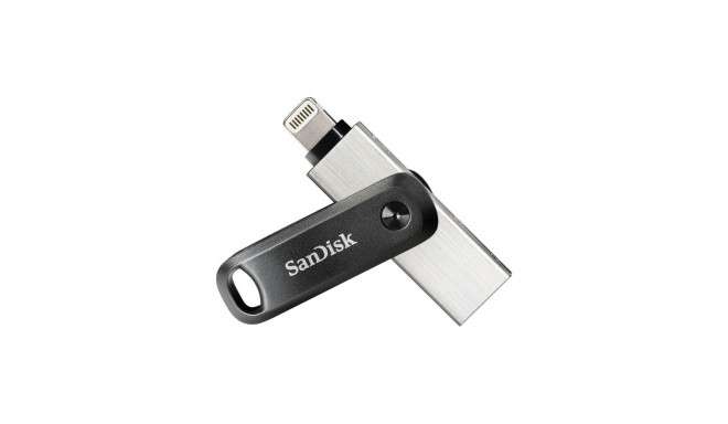 SanDisk iXpand mälupulk Go 256GB SDIX60N-256G-GN6NE