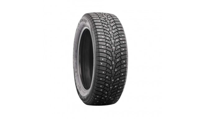215/65R17 Nankang SW-9 naastrehv 103T XL
