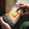 AmazingThing Radix Matte Glass for Nintendo Switch 2 (2 pcs.)