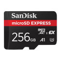 "CARD EXPRESS MICRO 256GB"