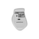 Asus WT425 hiir hõbedane
