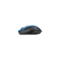 Asus | WT425 | Wireless Optical Mouse | wireless | Blue