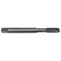THREAD TAP HSS DIN371 M12 PTG
