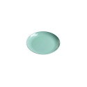 SHALLOW SMALL PLASTIC PLATE. GREEN
