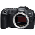 Canon EOS R8 + 24-105mm