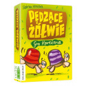 Gra pędzące Żółwie gra karciana