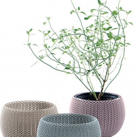 Istutuspottide komplekt COZIES TRIO 3tk, violet/beez/helesinine