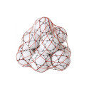 Carrying net TREMBLAY for 10 balls