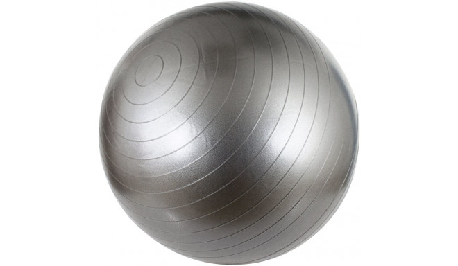 Gym Ball AVENTO 42OB 65cm Silver