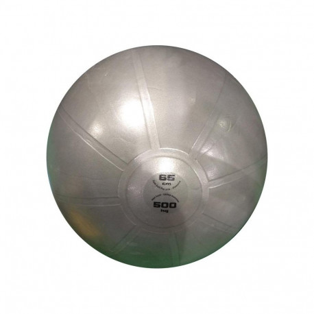 Gym ball TOORX PRO AHF148 D65cm grey
