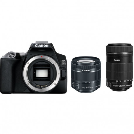 Canon EOS 250D + EF-S 18-55mm IS STM + EF-S 55-250mm IS STM