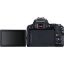Canon EOS 250D + EF-S 10-18mm  IS STM