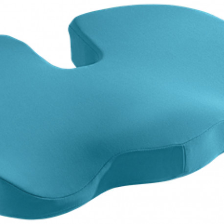 Ergonoomiline istmepadi Leitz Ergo Seat Cushion Leitz Cosy Calm Blue/sinine