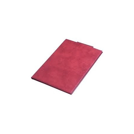 Kirjutusalus kaanega A5 veinipunane Prolexplast PVC
