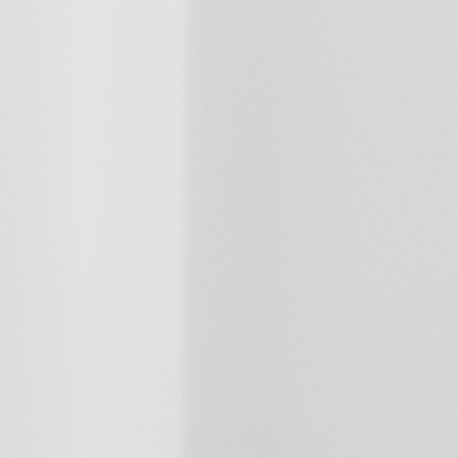 Prügikast 5L, Brabantia, NewIcon pedaaliga 11 20 65/ White, valge