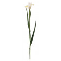 Kunstlill IIRIS/ valge 70cm