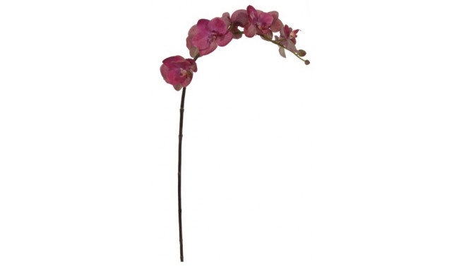 Kunstlill ORHIDEE / soe lilla 77cm