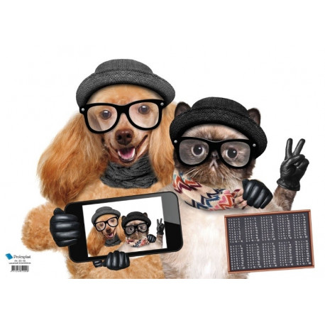 Lauamatt 530x400mm Kass-Koer-Kübar/Dino  korrutustabel, Prolexplast