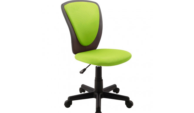 Töötool BIANCA 27794/ max 100kg/ roheline  võrkkangas- tumehall kunstnahk+must