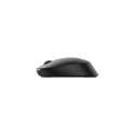 Philips SPK7307BL/00 mouse Office Ambidextrous RF Wireless Optical 1600 DPI